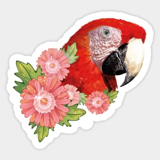Scarlet macaw Sticker